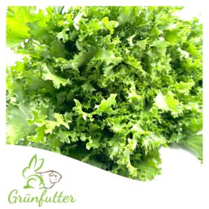 Frisée