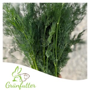Dill