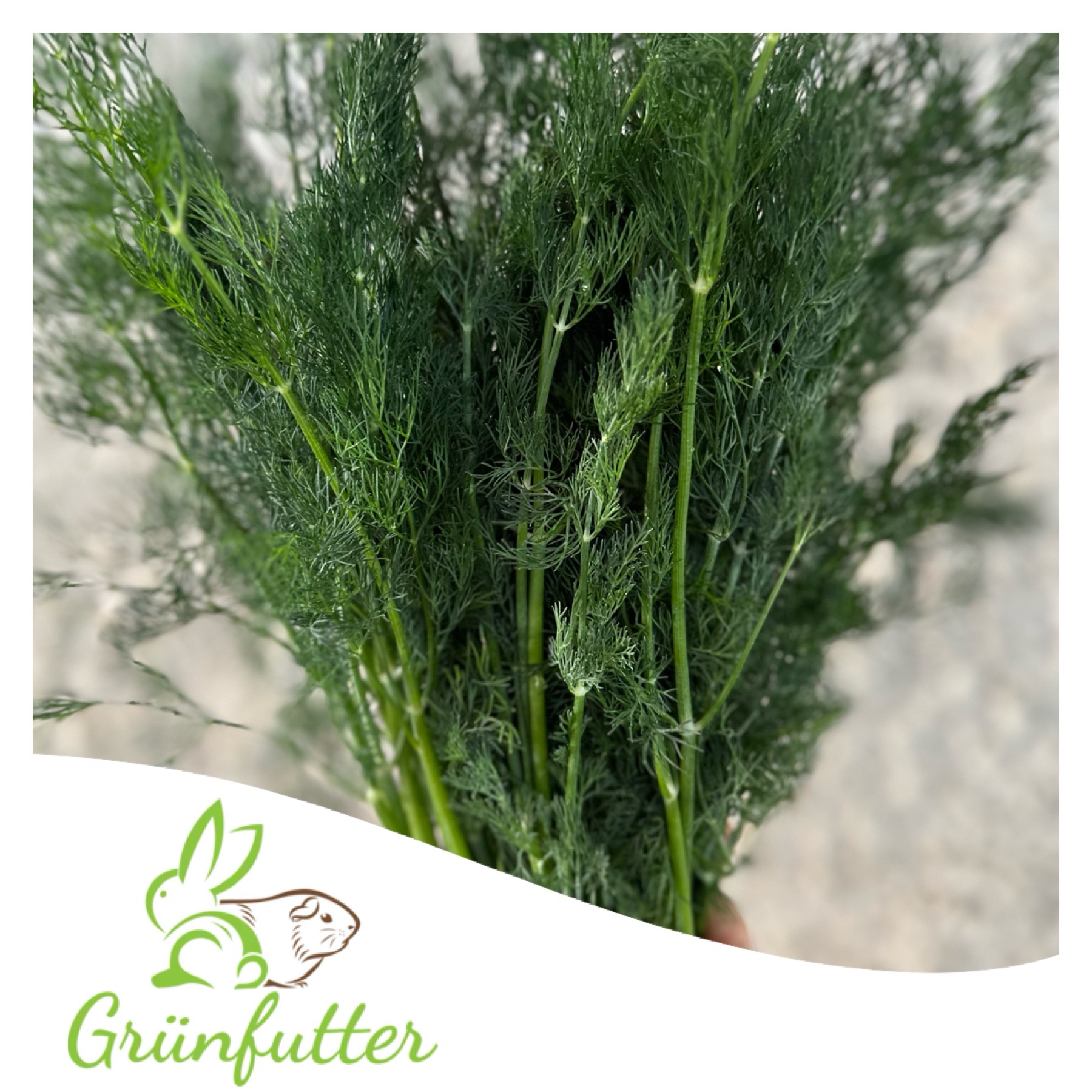 Dill