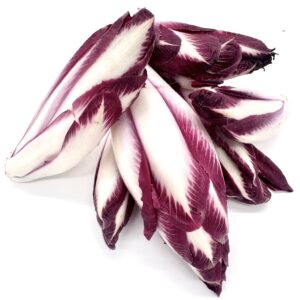 Chicorée rot