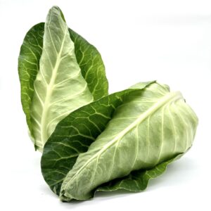 Spitzkohl