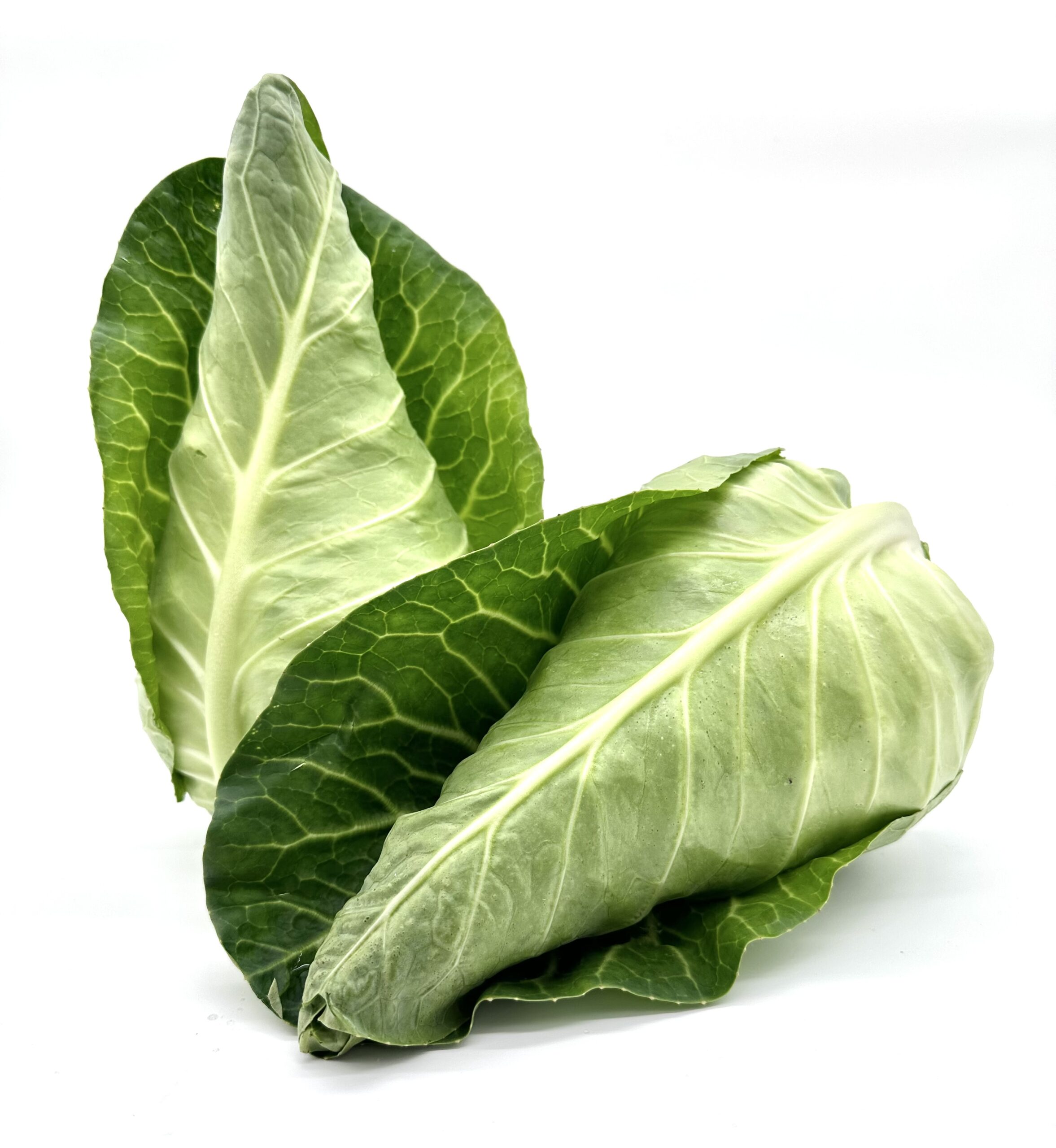 Spitzkohl