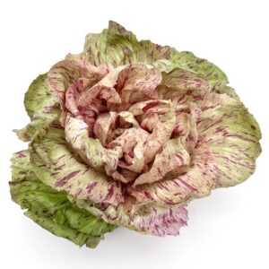 Castelfranco
