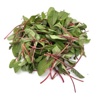Red Chard / Randenblätter