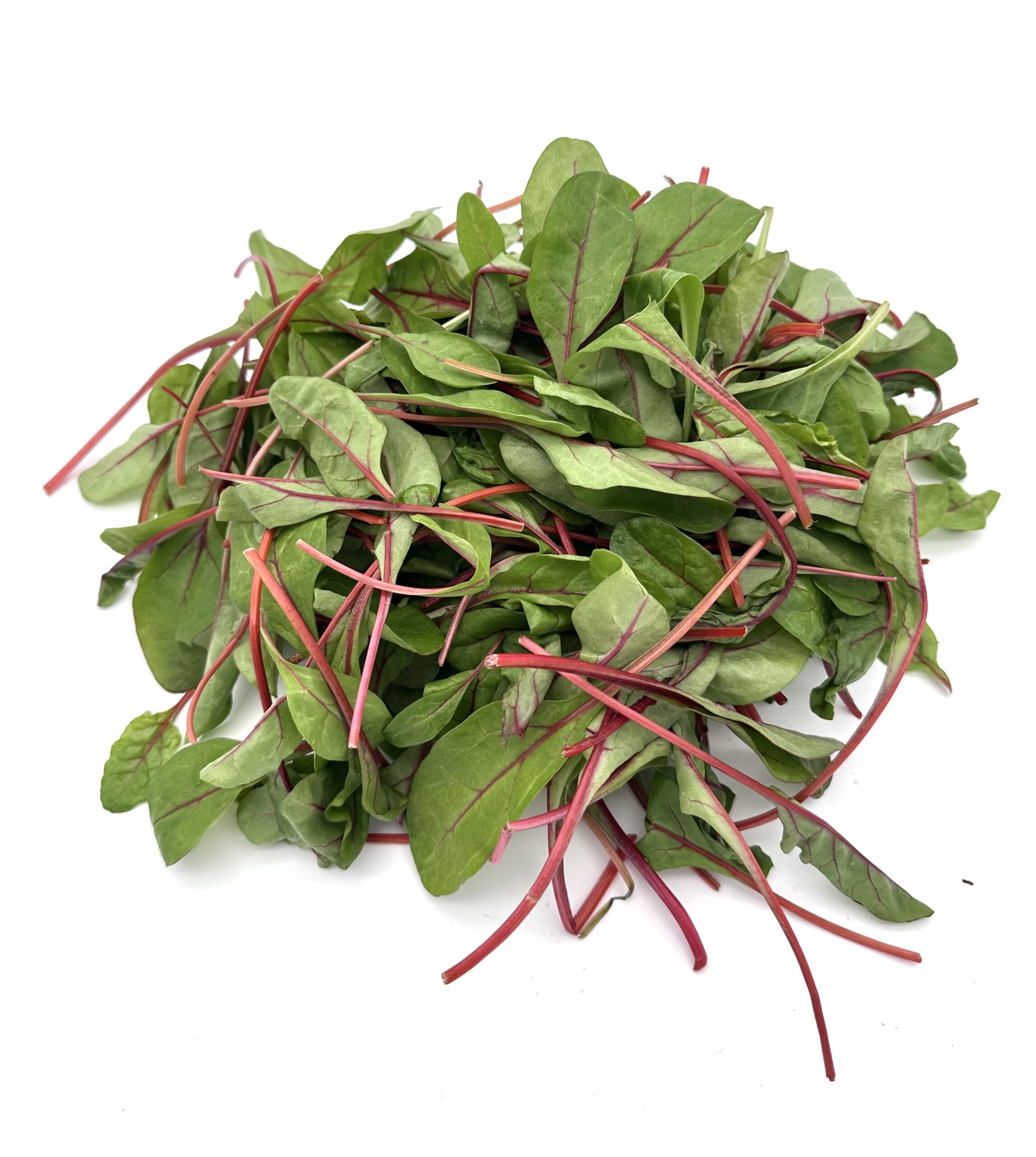 Red Chard / Randenblätter