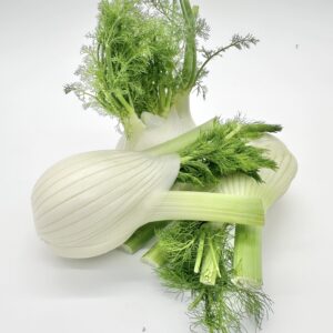 Fenchel
