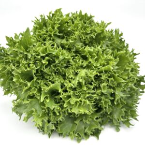 Salanova Crispy grün