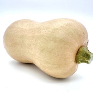 Kürbis "Butternut"